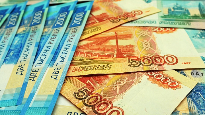 Госдолг России в 2025 году достиг 16,5 процента ВВП